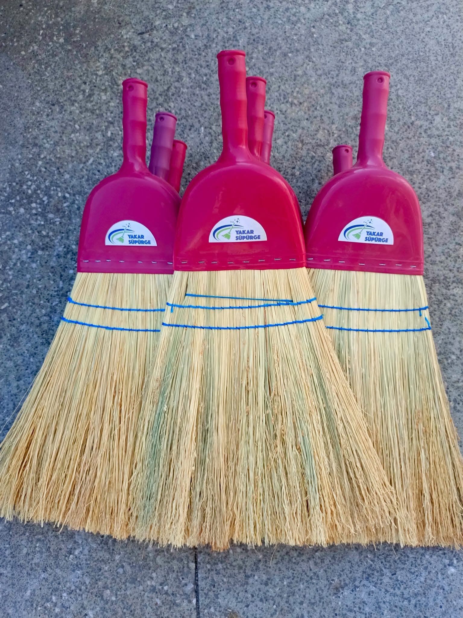 Plastik Başlıklı Süpürge