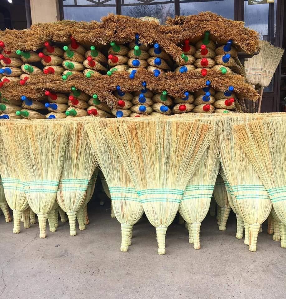 Çatal Süpürge